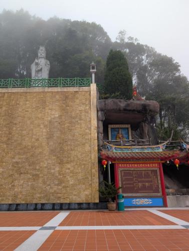 PXL 20250311 020949167