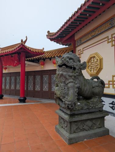 PXL 20250311 023203441