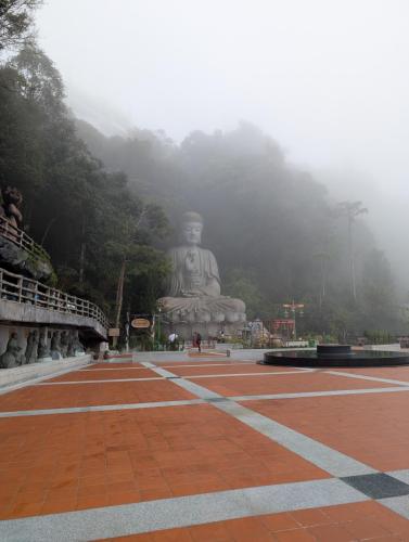 PXL 20250311 023519391