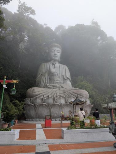 PXL 20250311 023612047