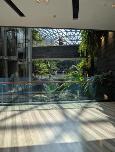 PXL 20250318 022146523