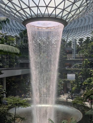 PXL 20250318 041455873