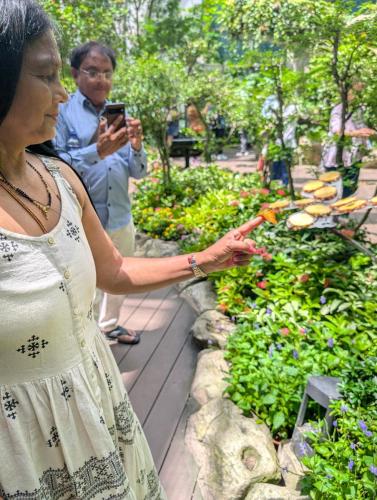 PXL 20250318 062132811