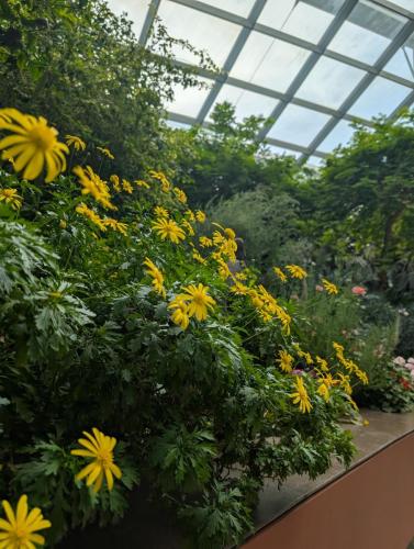 PXL 20250313 095816421