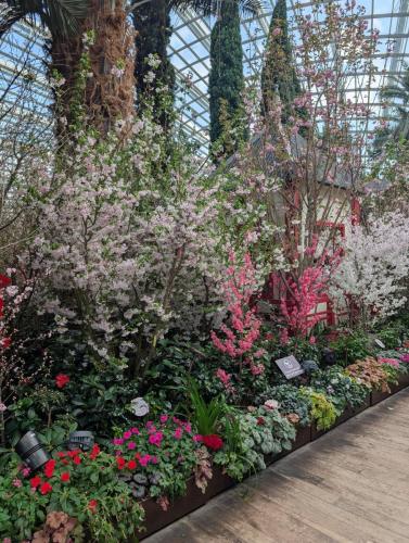 PXL 20250313 101103245