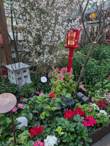 PXL 20250313 101948795