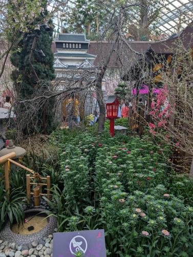 PXL 20250313 102049860