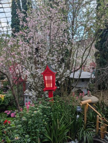 PXL 20250313 102101145