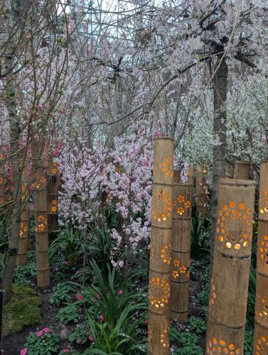 PXL 20250313 102433047