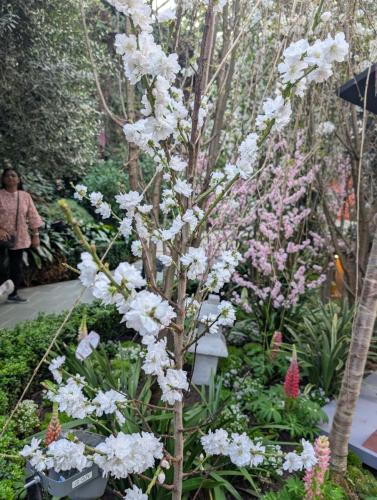 PXL 20250313 102856991