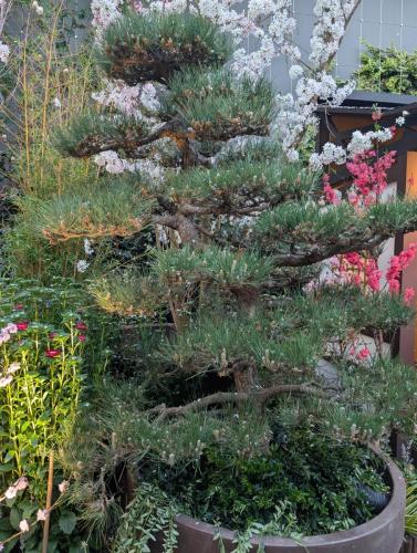 PXL 20250313 103056003