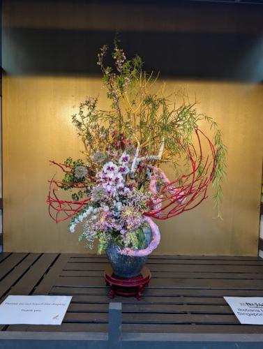 PXL 20250313 103201598