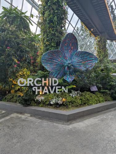 PXL 20250313 105859638