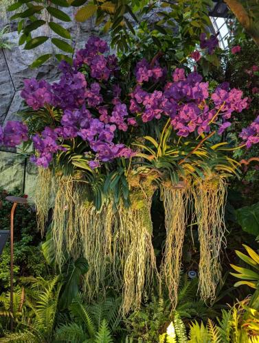 PXL 20250313 110006650