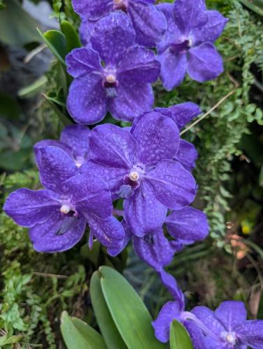 PXL 20250313 110108286