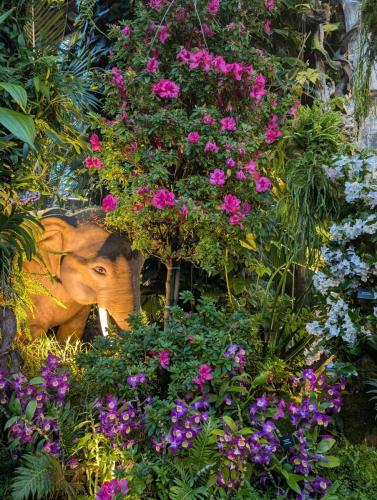 PXL 20250313 110335633