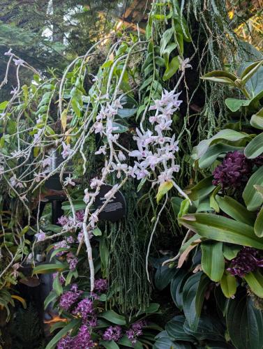 PXL 20250313 110351138