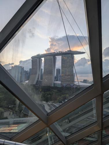 PXL 20250313 111334340