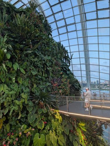 PXL 20250313 111638329