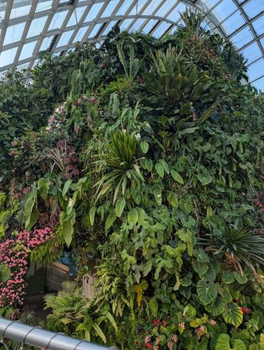 PXL 20250313 111641710