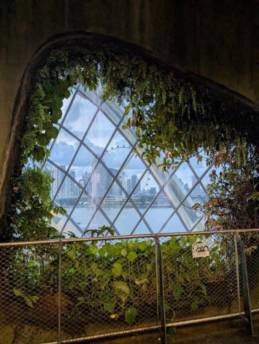 PXL 20250313 112025774