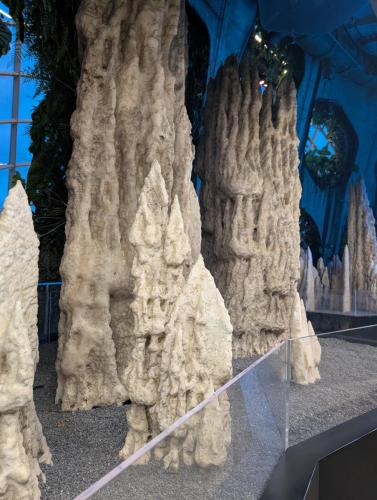 PXL 20250313 112534949