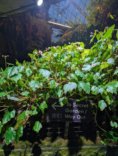 PXL 20250313 112856900