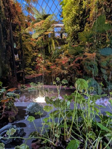 PXL 20250313 112932202