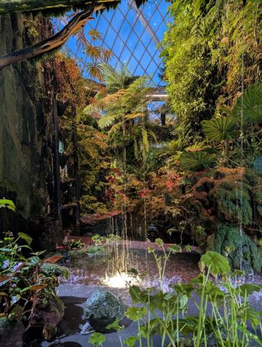 PXL 20250313 112934982