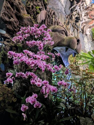 PXL 20250313 113311864