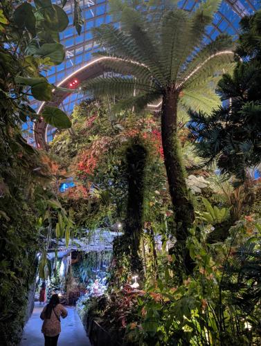 PXL 20250313 113348785