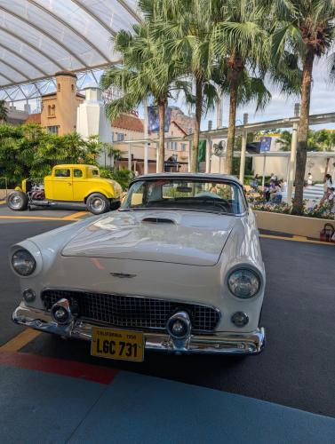 PXL 20250314 090921251