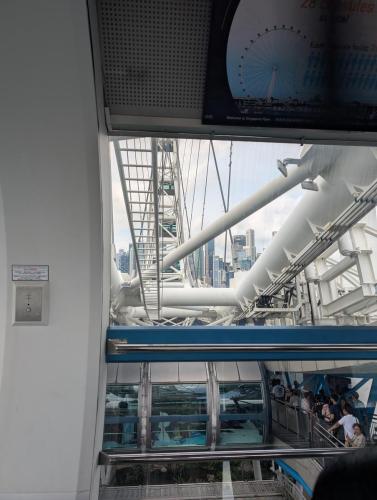 PXL 20250315 033028142