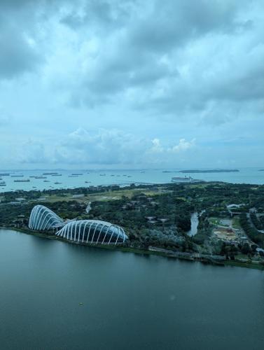 PXL 20250315 034203877