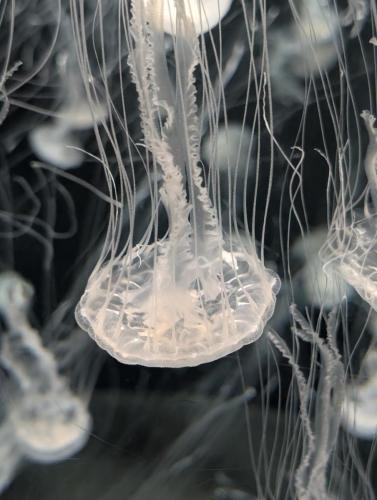 PXL 20250315 075808513