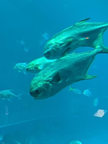 PXL 20250315 082817065