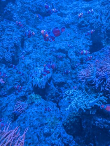 PXL 20250315 083527141