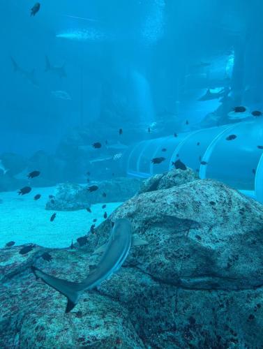 PXL 20250315 085757951