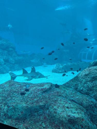 PXL 20250315 085801183