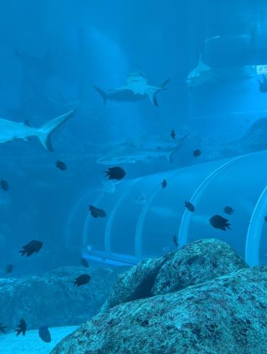 PXL 20250315 085805419