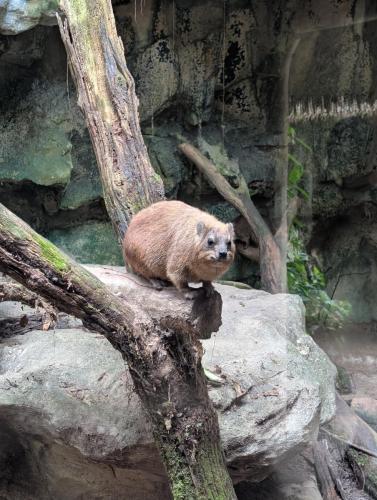 PXL 20250316 023436833