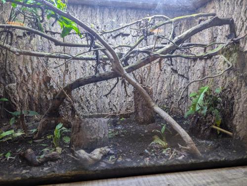 PXL 20250316 024536894