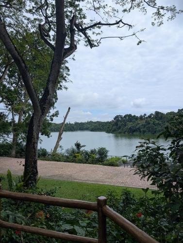 PXL 20250316 025136528