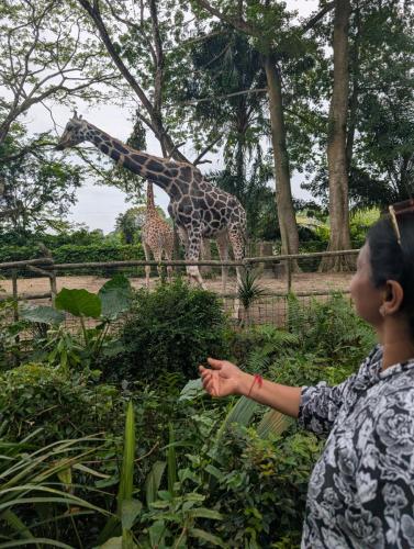 PXL 20250316 032713736