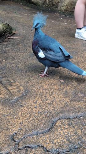 PXL 20250316 034208905