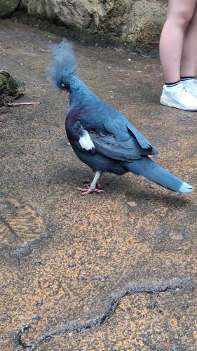 PXL 20250316 034215041