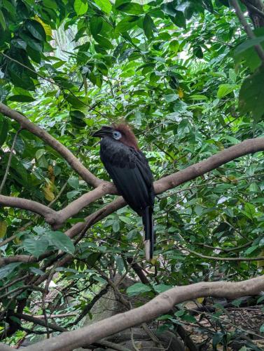 PXL 20250316 034315837