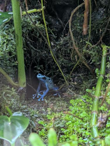 PXL 20250316 034954657